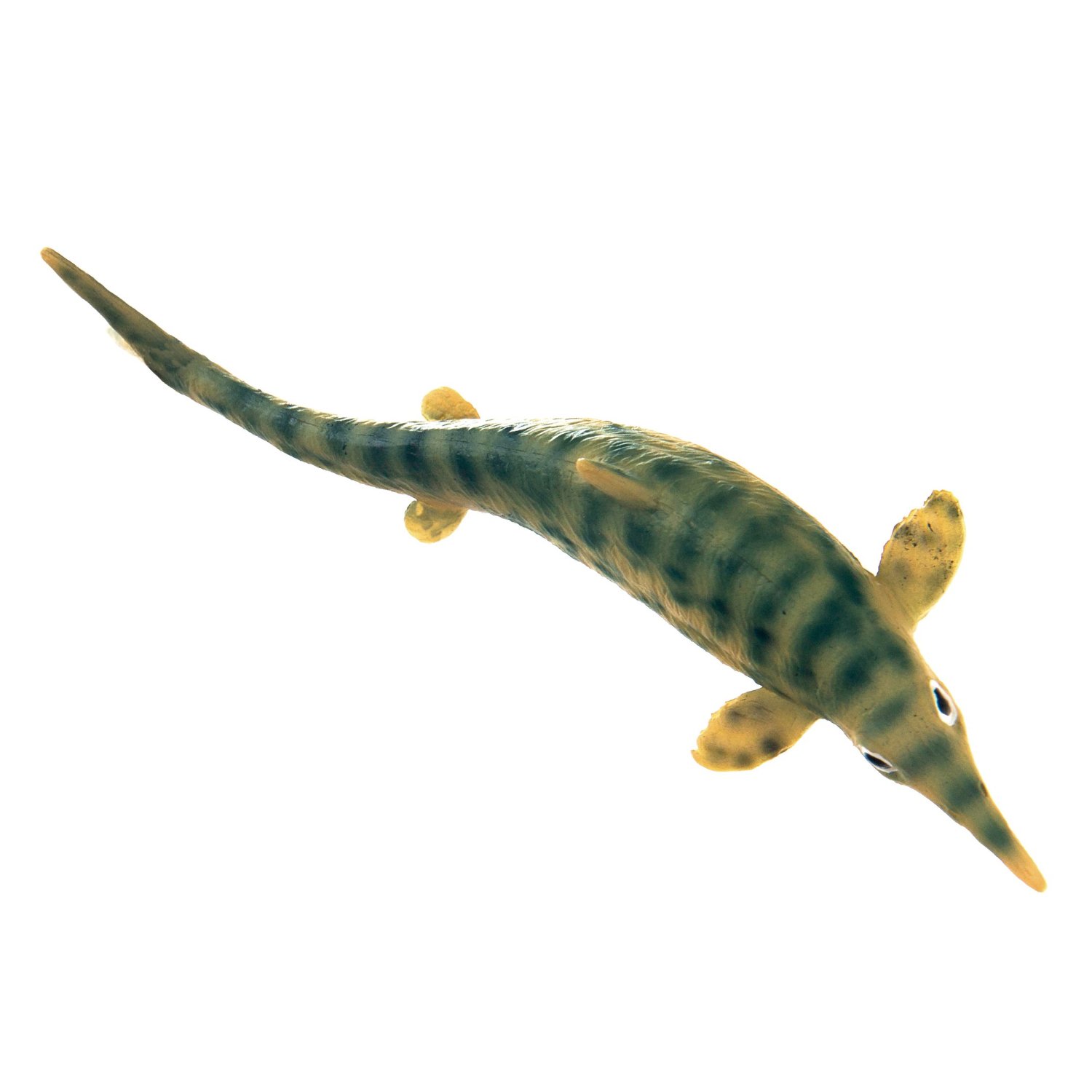 pnso ophthalmosaurus