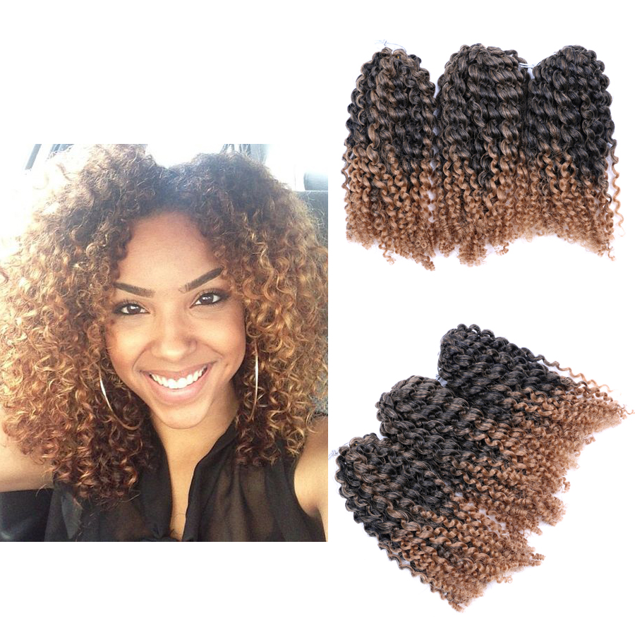 8 Ombre Afro Kinky Curly Crochet Braids Marlybob Braid Hair