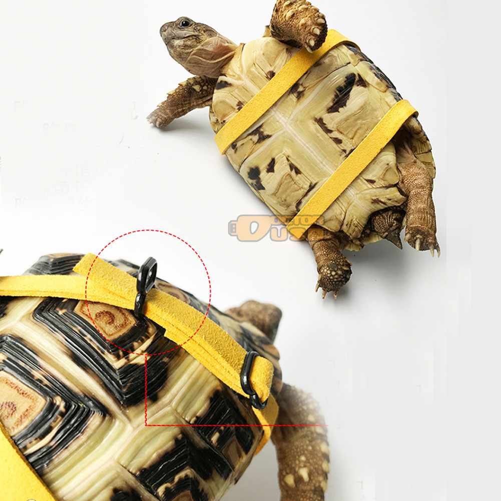 turtle strap