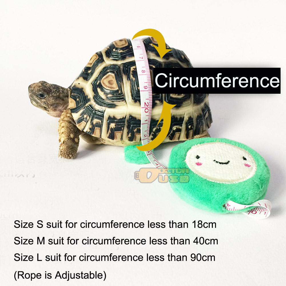 turtle strap