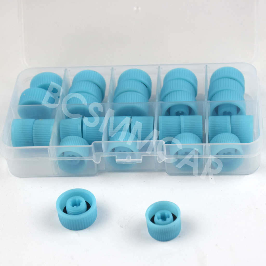 31PCS Car AC Valve Cap Kit - Low & High Pressure Port Dust Covers With Internal Washers