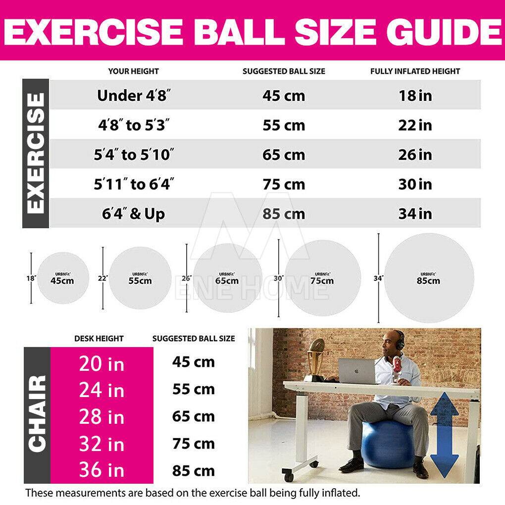 VIVVA Gym Yoga Ball Home Exercise Pilates Equipment Fitness Ball 55 65 ...