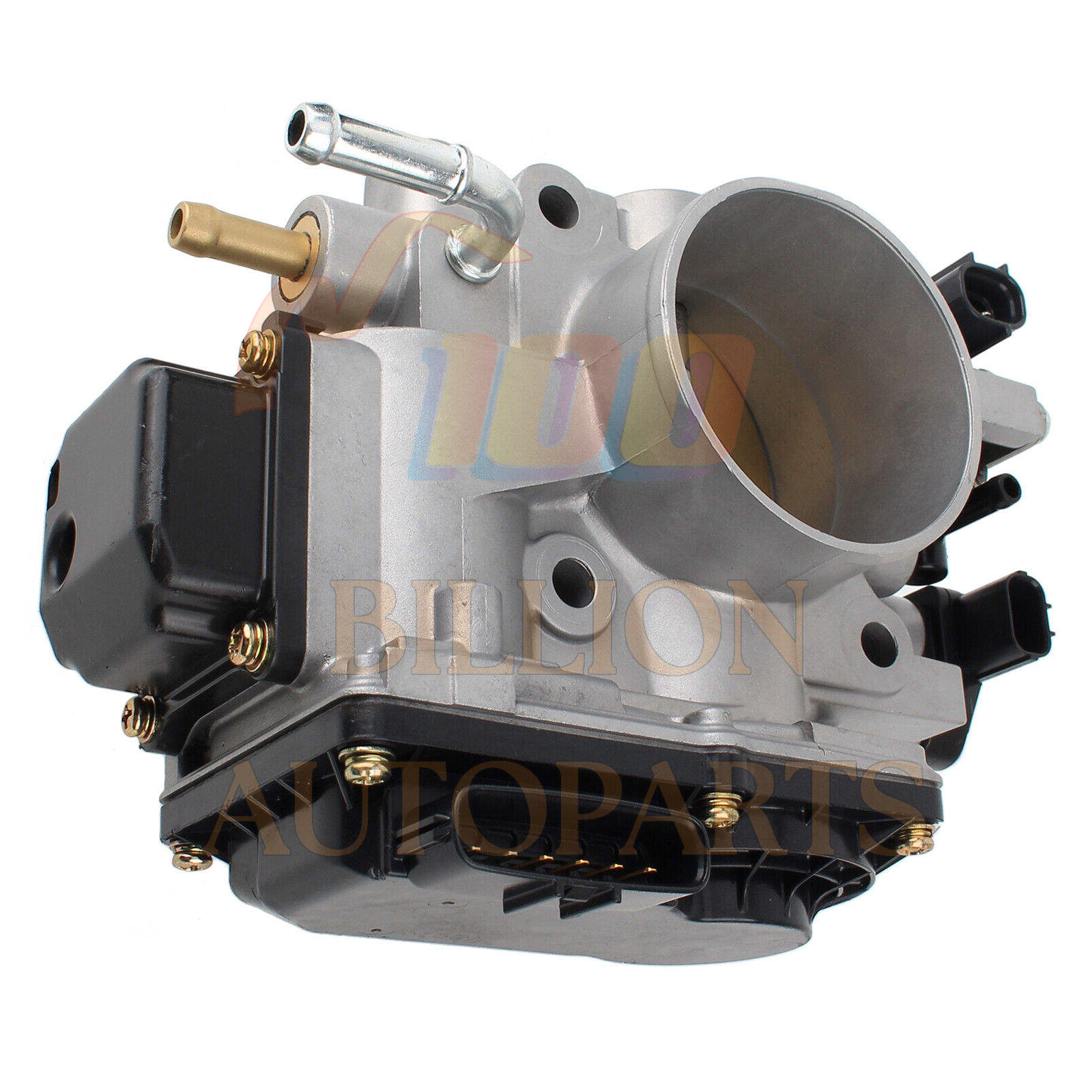 くりちゃん 4165892708.jpg