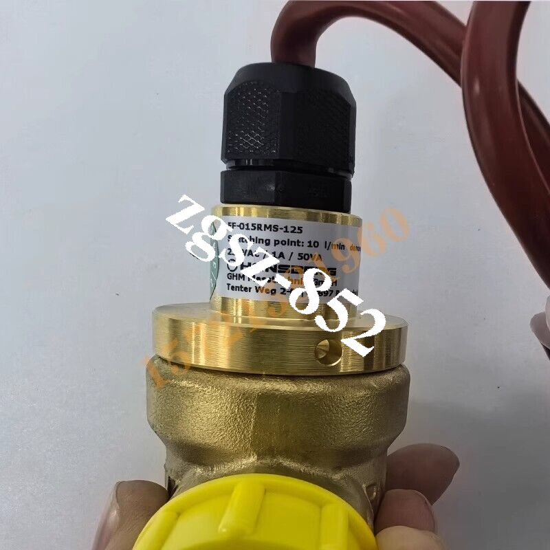 1pcs Bizer Screw Oil Flow Switch HONSBERG FF-015RMS-125 10L FedEx