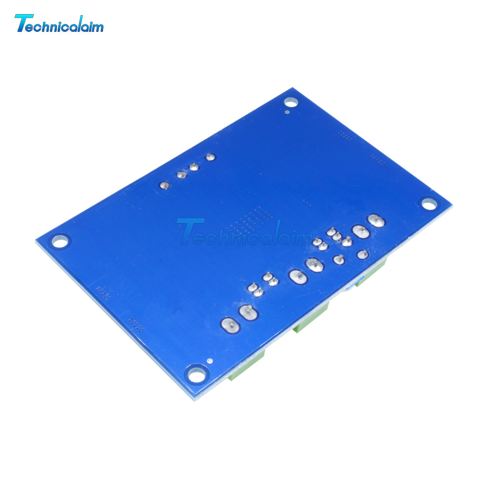 TPA3116 D2 DA DC 12V 24V 100W Mono Channel Digital Power Audio ...