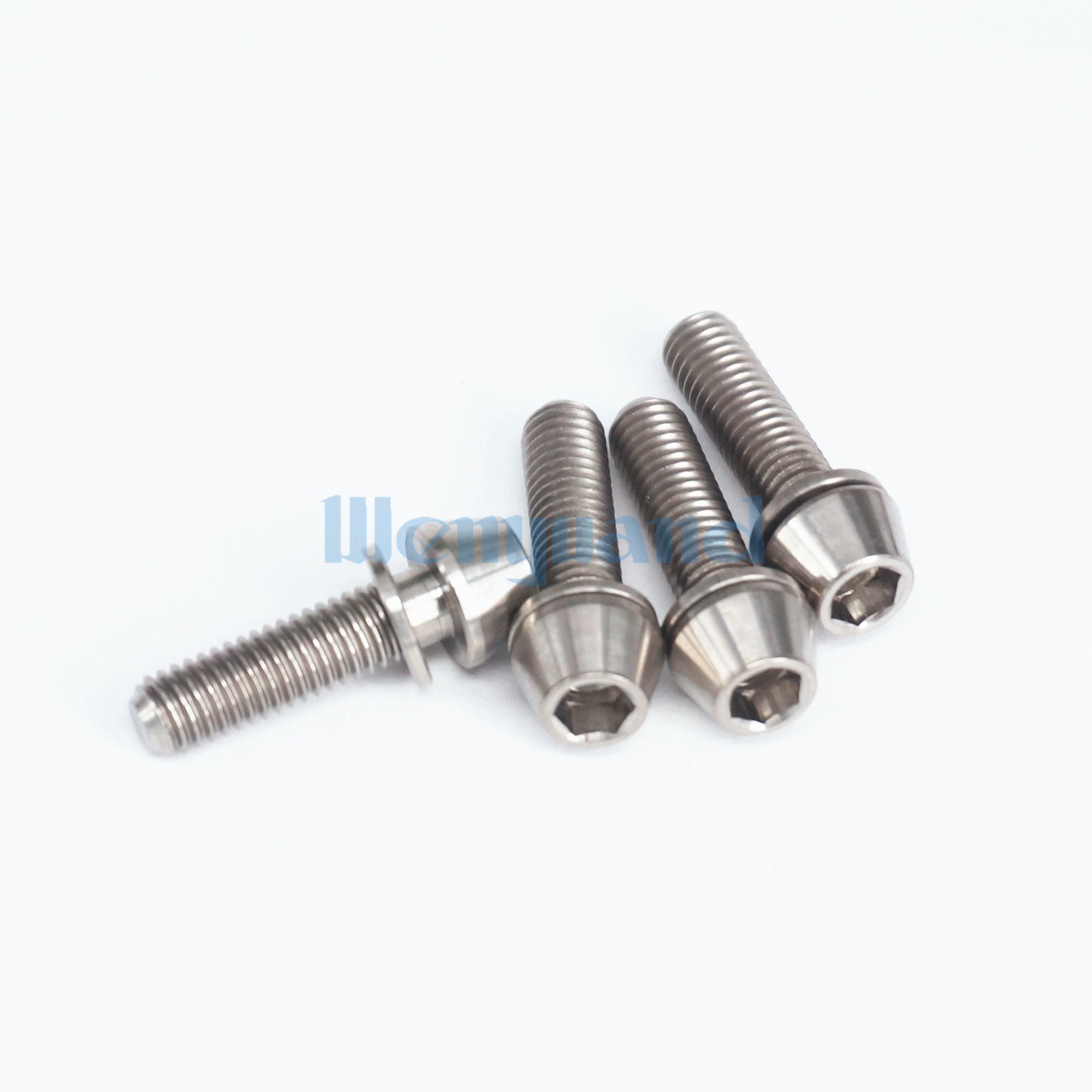 titanium bike screws